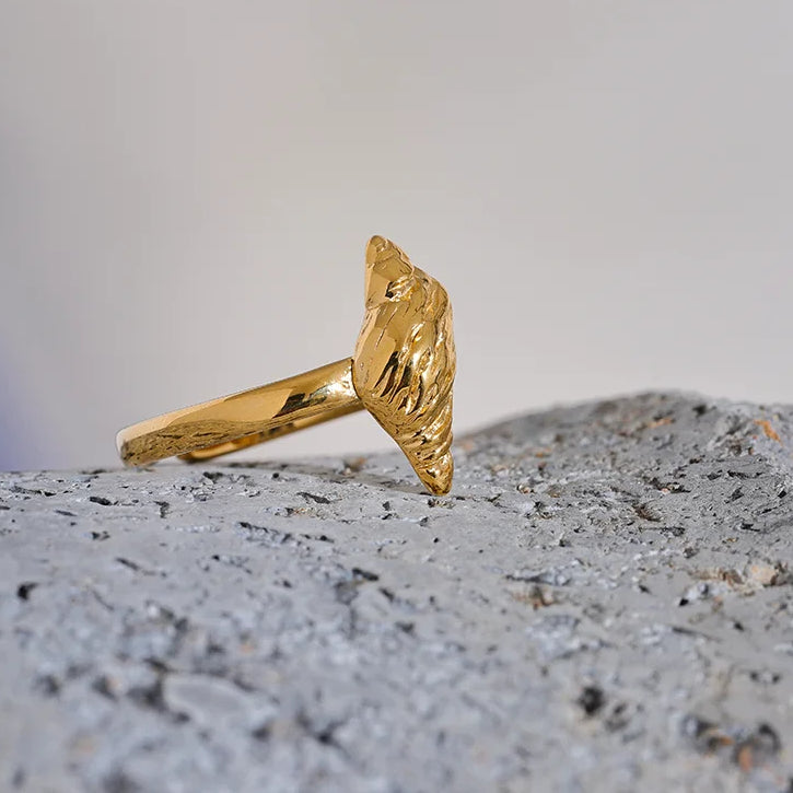 Ariel Ring